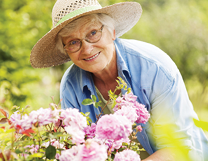 Elderly woman gardening